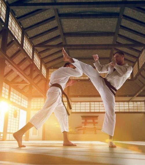 Martial Arts